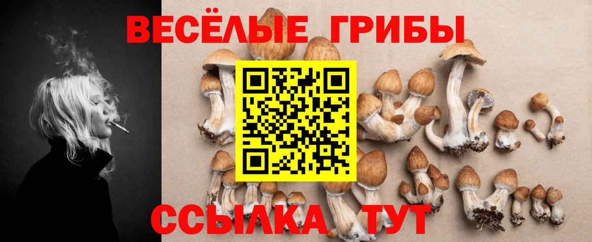 Краснодар  Галлюциногенные грибы MAGIC MUSHROOMS  Вход с VPN 